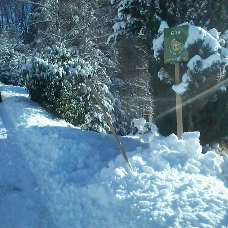 Feriehus 3 Etoiles Avec Sauna Pres De La Bresse - Fr-1-589-18