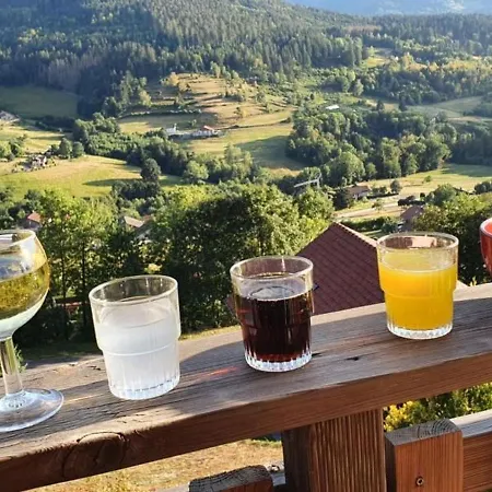 3 Etoiles Avec Sauna Pres De La Bresse - Fr-1-589-18