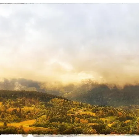 3 Etoiles Avec Sauna Pres De La Bresse - Fr-1-589-18 * バッス・シュル・ル・リュプト