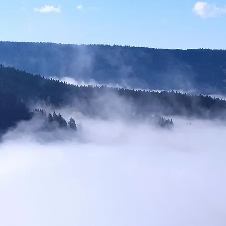 Feriehus 3 Etoiles Avec Sauna Pres De La Bresse - Fr-1-589-18 Basse-sur-le-Rupt