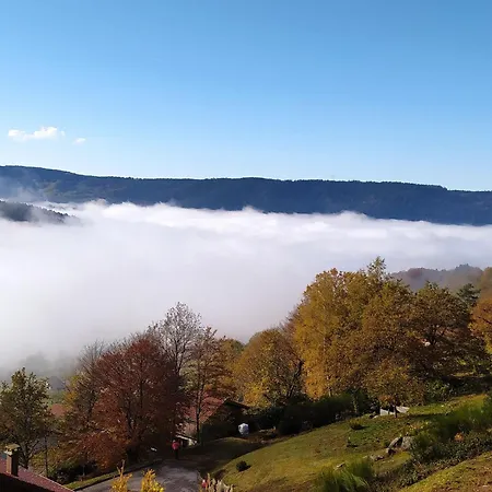 3 Etoiles Avec Sauna Pres De La Bresse - Fr-1-589-18 *