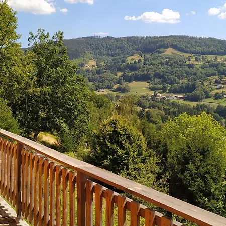 別荘 3 Etoiles Avec Sauna Pres De La Bresse - Fr-1-589-18 バッス・シュル・ル・リュプト