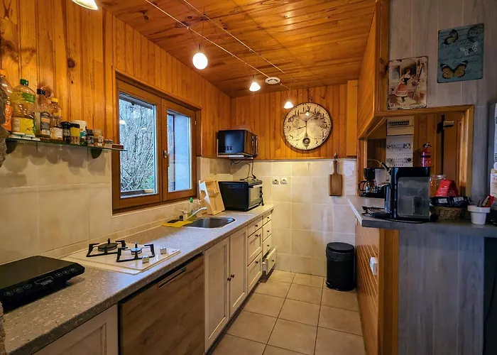 3 Etoiles Avec Sauna Pres De La Bresse - Fr-1-589-18 Holiday home *